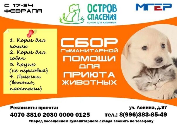 Приют для животных лесосибирск. Приют животных благовещенск амурская. приют остров спасения в городе благовещенске. приют для животных в благовещенске. приют для животных амурская область.