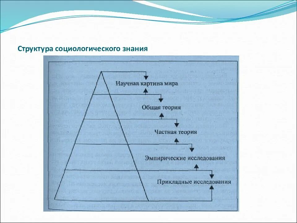 Структура социологии. Структура и уровни социологического знания. в структуре социологического знания выделяют несколько уровней. внутренняя структура социологического знания?. элементы структуры социологического знания.