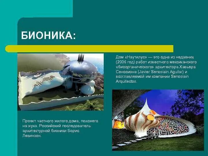Бионика птицы. Монтаген бионика. Основные направления нейробионики. Направления бионики и их характеристики. Бионика в архитектурной композиции.