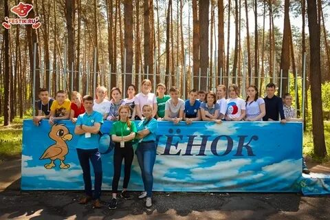 Лагерь орленок курск отзывы