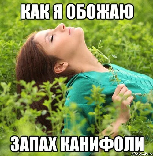 Ничего запах. Ничего запах. Ничего запах. Коллекция нишевого парфюма. Настоящая кожа ничем не пахнет.