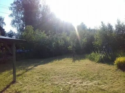 Ольхово плесково