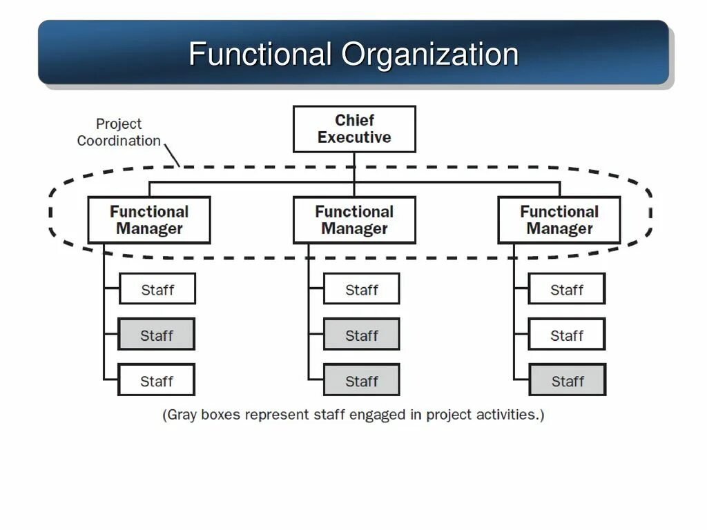 Types of functions. Functional structure of the Company. Functional Organization structure. Functional Organizational structure. Line Organizational structure.