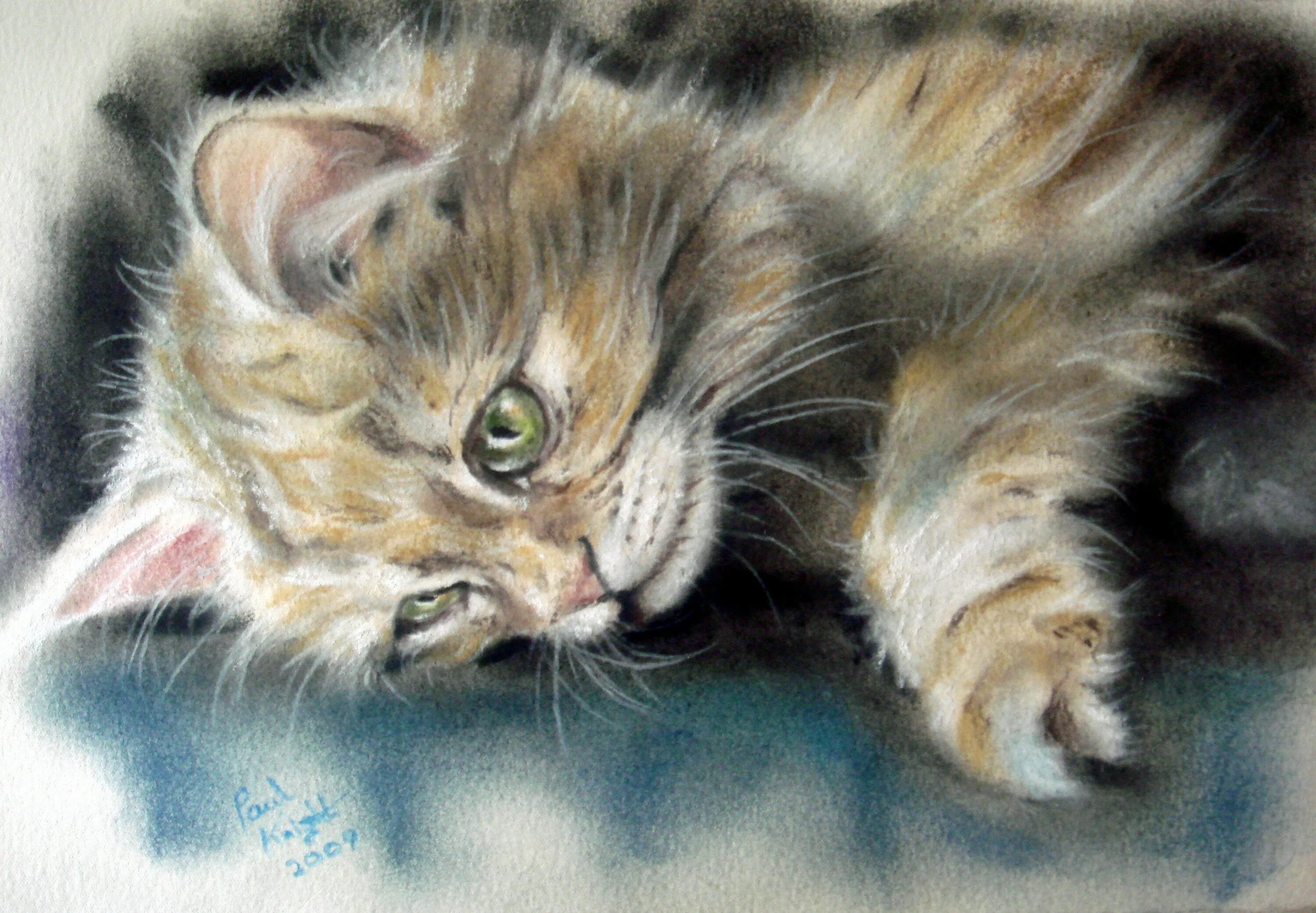 Кошка 1 часть. Paul Knight художник. Пол Найт художник коты пастелью. Художник Paul Knight. Кошки. Котенок живопись.