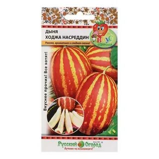 Дыня насреддин