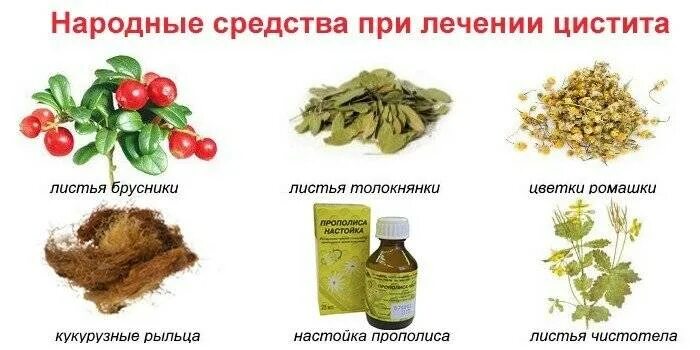 Как лечить цистит дома. Народные средства при цистите. народные средства от цистита. лечение цистита народными средствами. цистит лечение.