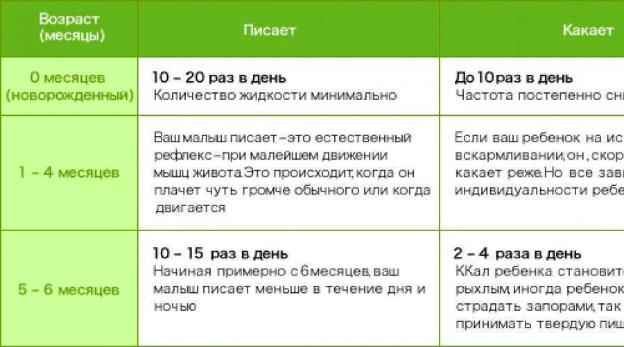 Сколько раз в сутки норма мочеиспускание