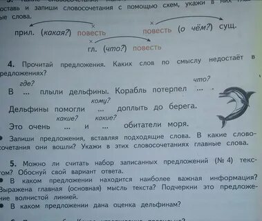 Дельфины впр 4 класс