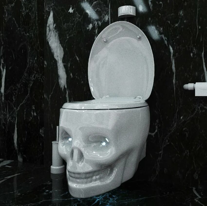 Где унитазы головы. Geberit унитаз череп. унитаз geberit zandini. унитаз zandini череп. необычные унитазы.