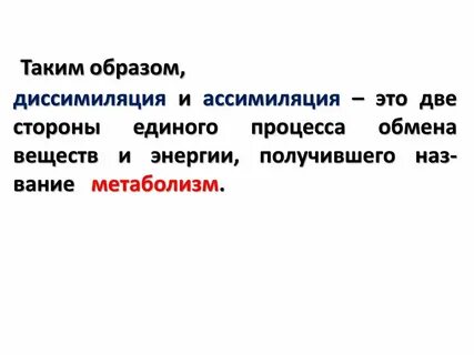 Диссимиляция это в биологии кратко