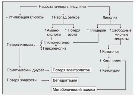 Диабетическую кому