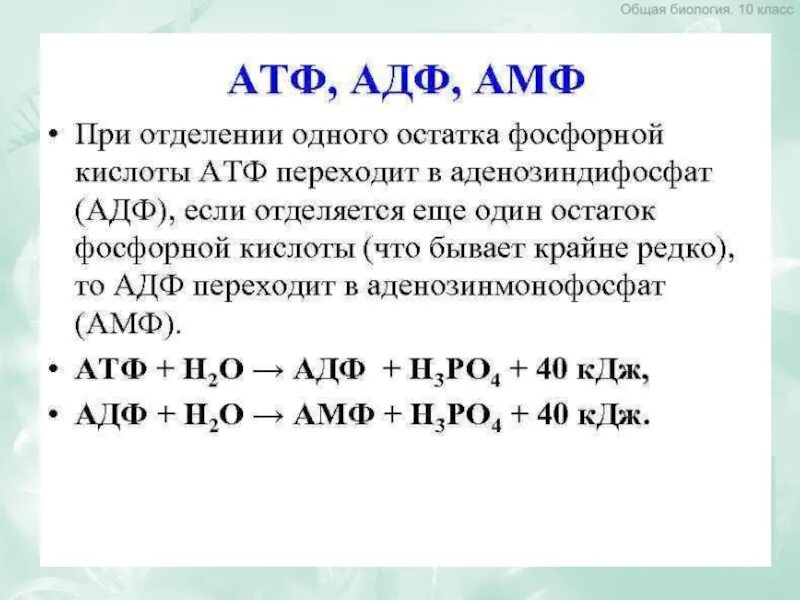 Атф и другие. АДФ фосфат АТФ вода. Превращение АТФ В АДФ. Образование АТФ из АДФ.