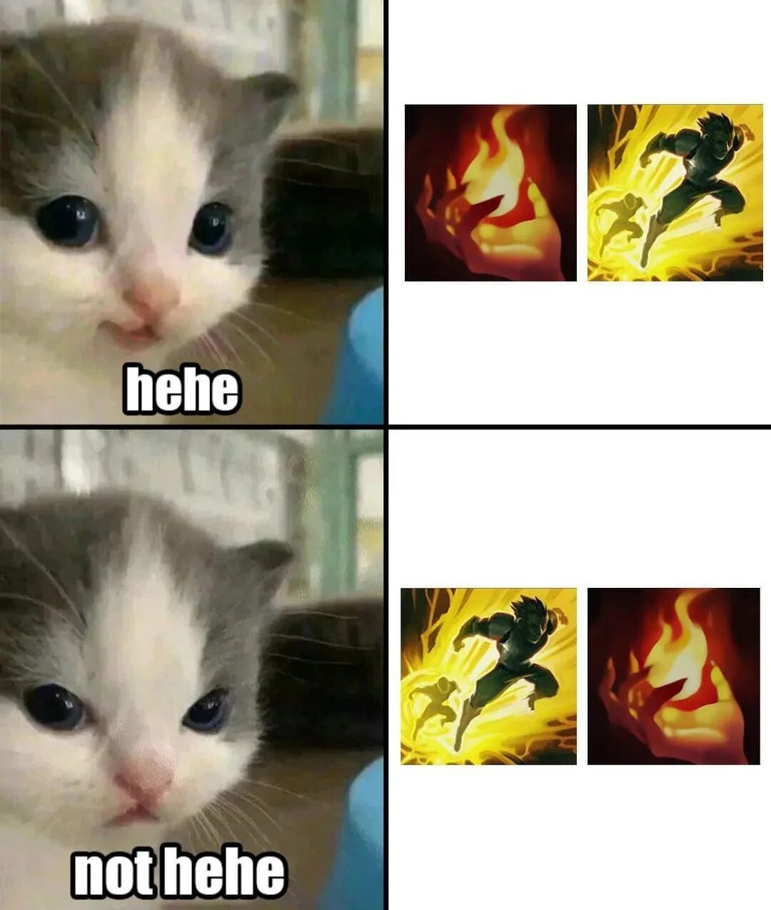 Котик хехе