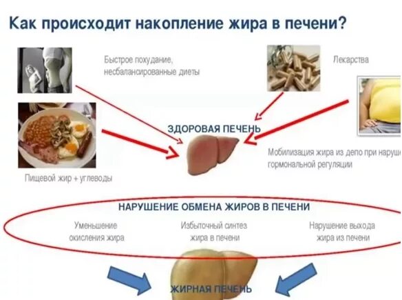 Можно ли печень на диете. Диета при гепатозе печени стол 5 меню. Диета при жировом гепатозе. Диета прижиравом гипатозе. Жировой гепатоз печени диета.