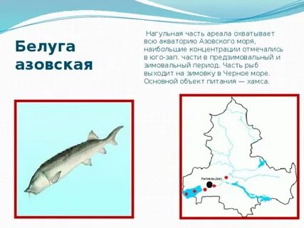 Местообитание рыб