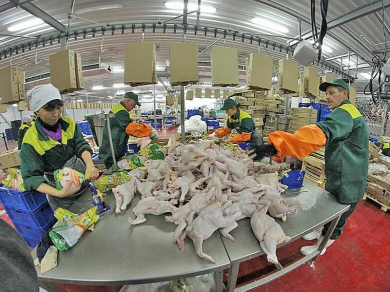 Продукция птицефабрики. Птицефабрики подмосковья. Бураново птицефабрика магнитогорск. Птицефабрика дукчинская магадан. Нагайбакский птицеводческий комплекс.