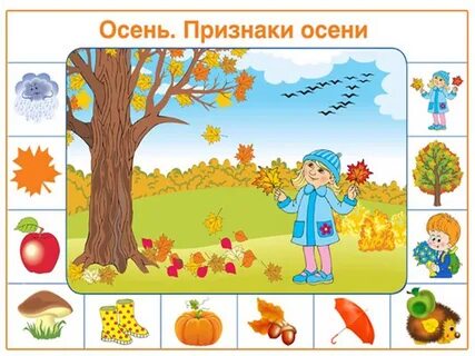 Признаки осени 5