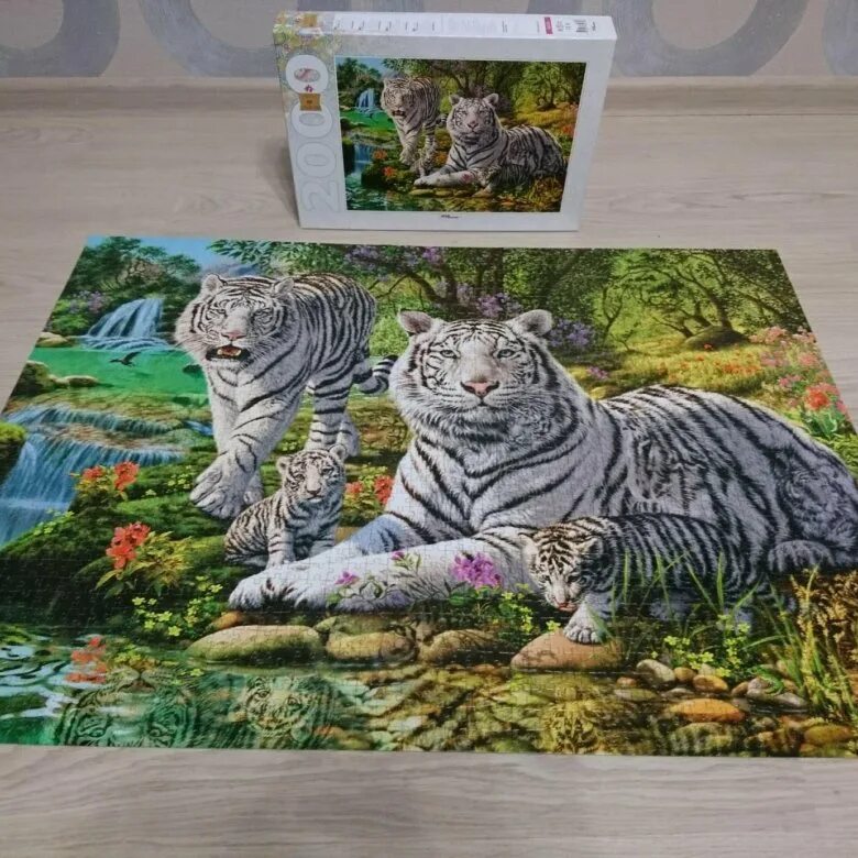 Пазлы Step Puzzle тигры 83054. Собранный пазл. Пазл 2000 деталей. Пазл 1500 деталей размер. Пазлы в собранном виде