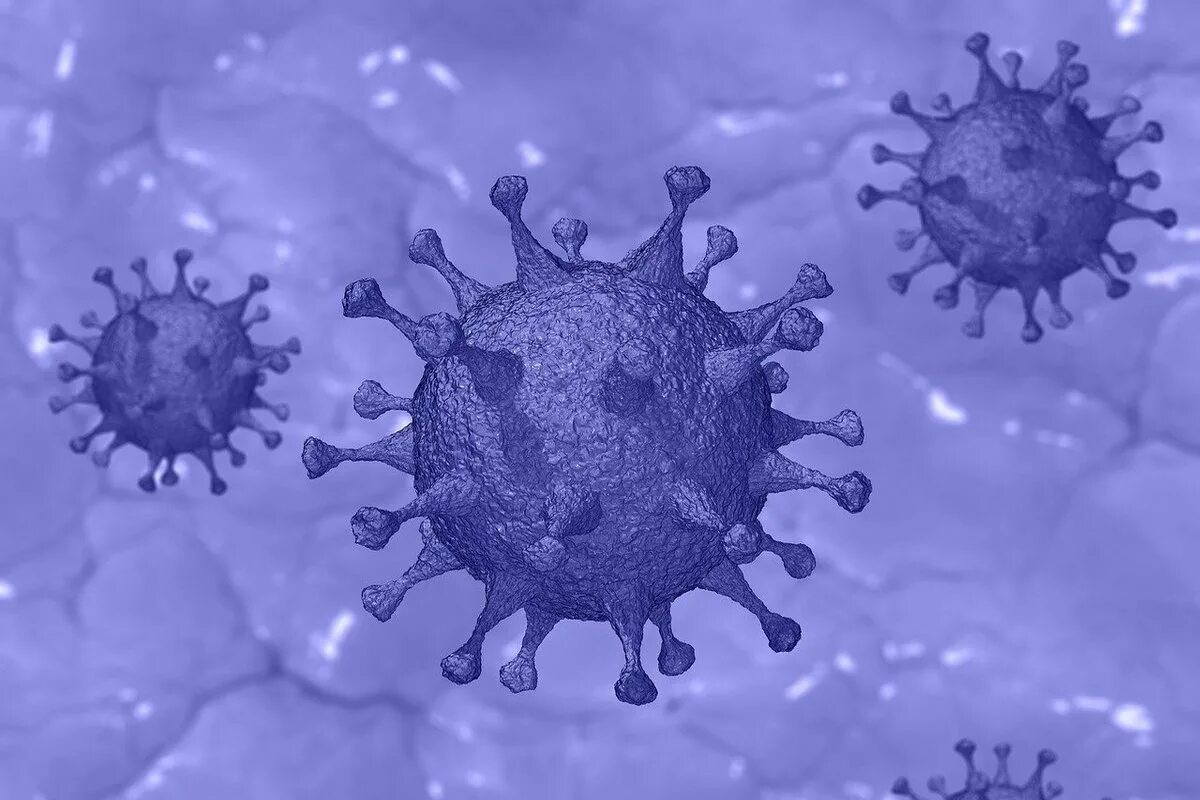 Ковид coronavirus. Коронавирус это инфекционное заболевание. Вирус ковид 19. Коронавирус в красноярском