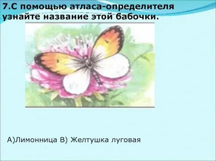 Как с помощью атласа определителя узнать