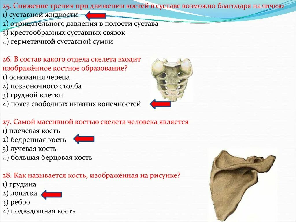 Снижение трения при движении костей в суставе. Снижение трения при движении костей в суставе возможно благодаря. Трение при движении костей в суставе. Снижение трения между костями в суставах происходит.