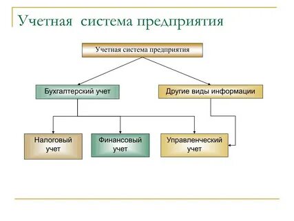 Налоговый бухгалтерский управленческий