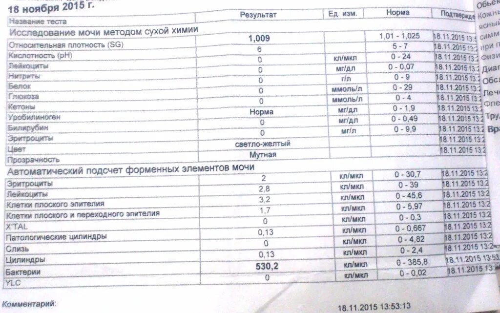 Бактерии в моче после лечения. Расшифровка ОАМ бактерии. Моча показатели нормы бактерий. Общий анализ мочи бактерии 1+. Бактерии в моче при беременности.