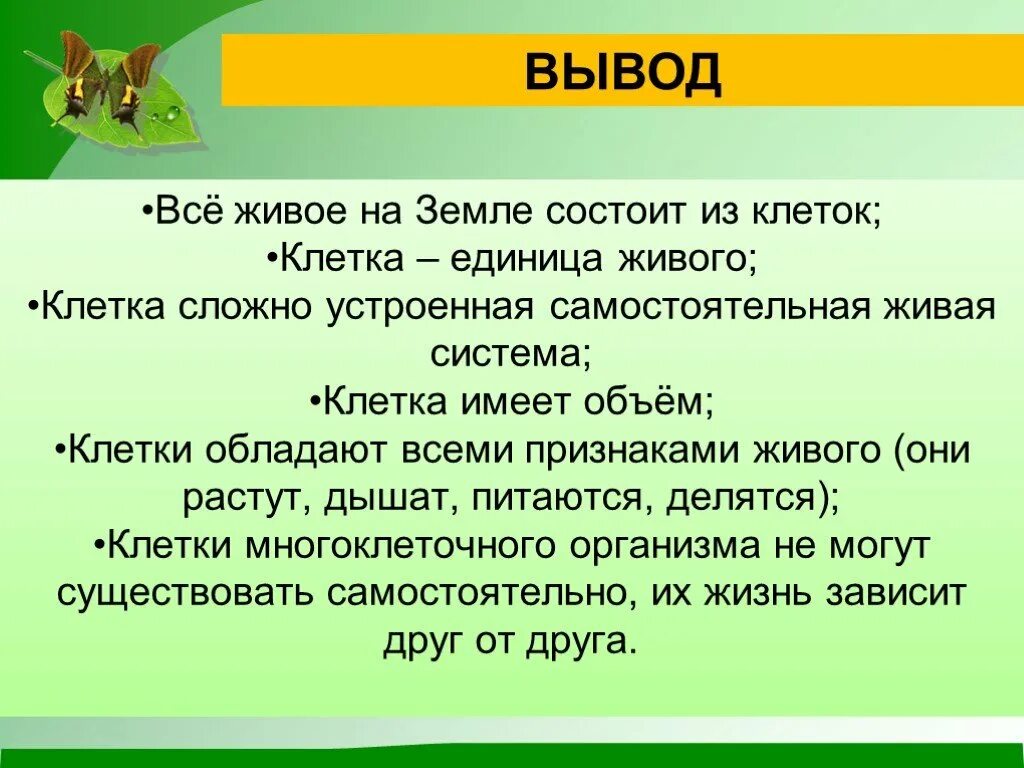 Растительная клетка вывод. Вывод по теме клетка. Биология клетка вывод. Вывод о всех клетках. Вывод про клетку по биологии.