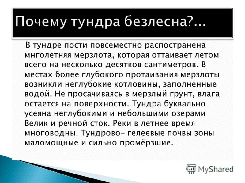 Почему тундра является безлесной природной. Причины безлесья тундр. Причина тундры. Почему в тундре не растут деревья причины. Почему тундра Безлесная.