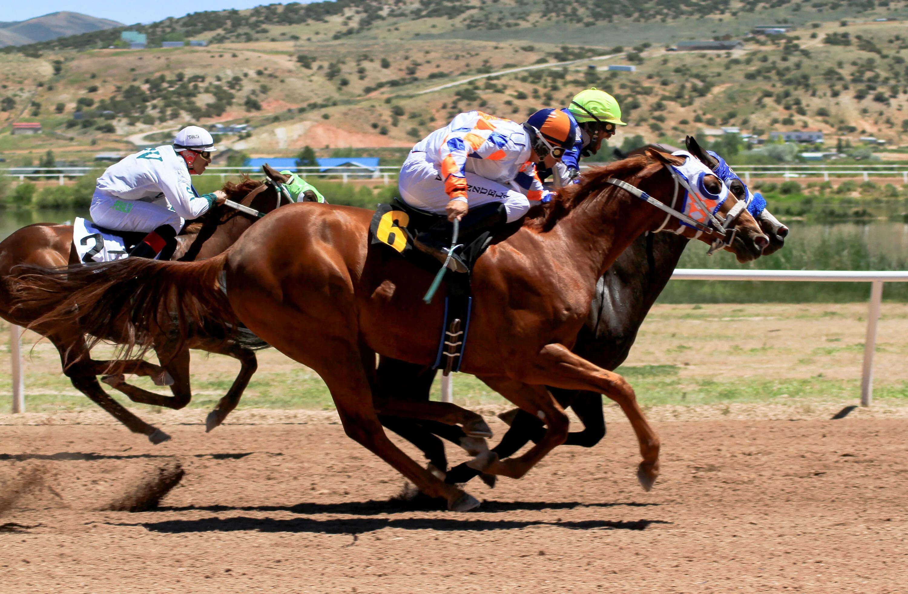 Sports horse. Ипподром «ла Сарсуэла» (Мадрид). Жокей конный спорт. Конные скачки. Лошадь на скачках.