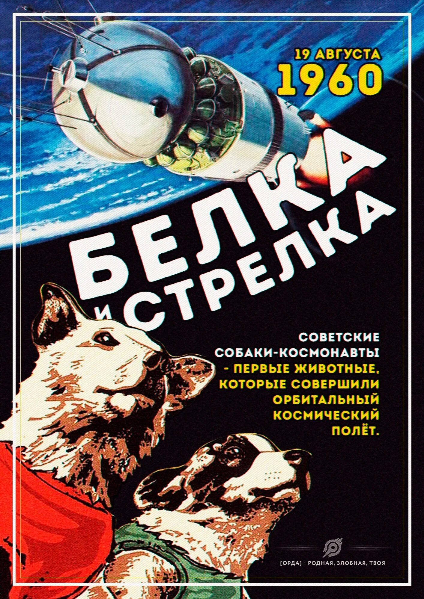 19 августа 1960. Белка и стрелка 19 августа 1960 года. Спутник 5 белка и стрелка. Собака кефир покорившая космос. Корм для собак белка и стрелка отзывы.