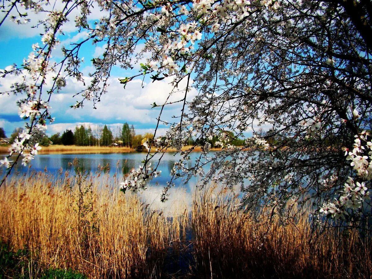 Весенний пейзаж. Утренний пейзаж деревня герасимов. Рассвет весной. Красота русской природы. Весенний рассвет.