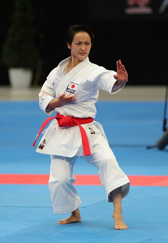 Japanese karate
