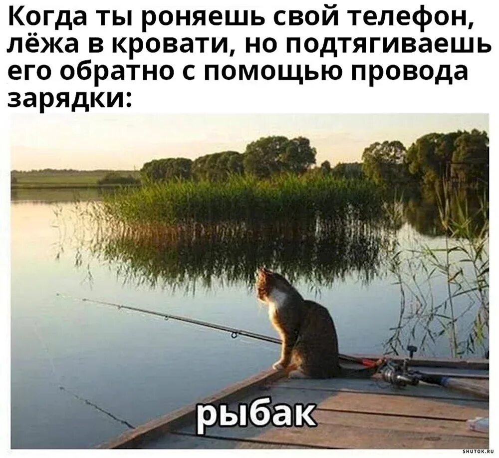Душа ловит ловит