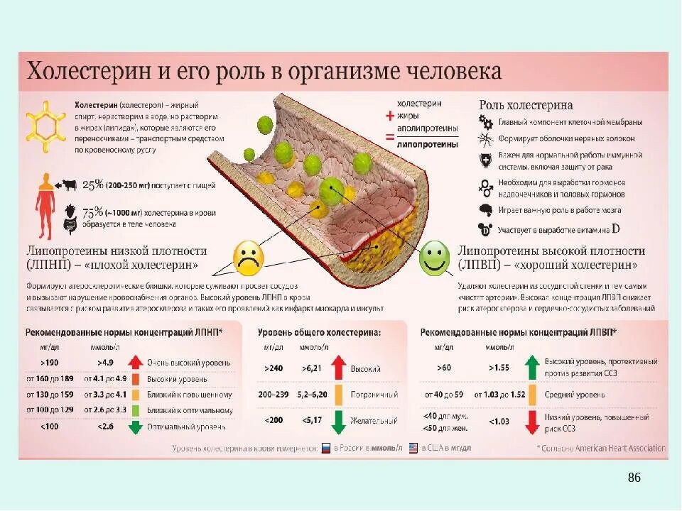 Народные средства для снижения холестерина в крови. Уровень холестерина. Что снижает холестерин. Пониженный холестерин. Холестерин норма.