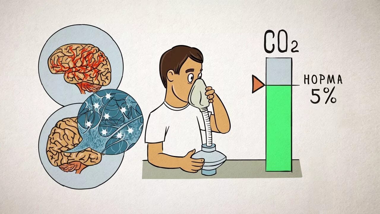 Сколько кислорода выдыхаемом человеком. Влияние углекислого газа на организм человека. Углекислый ГАЗ И кислород в организме человека в. Углекислота в организме человека. Влияние диоксида углерода на организм человека.