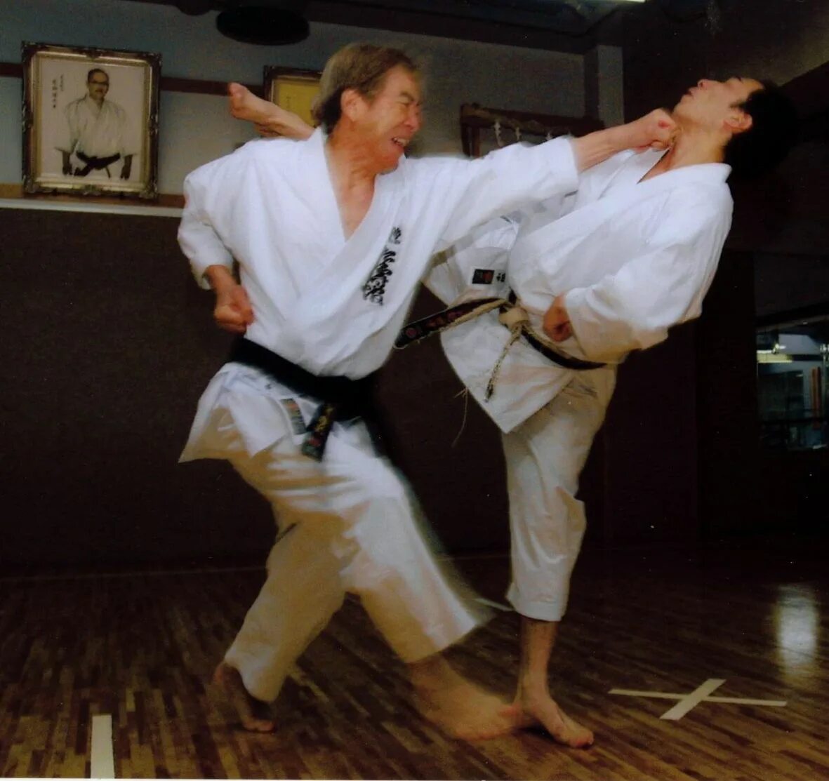 Japanese karate