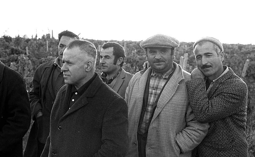 Советские грузины. Советская грузия 1921-1951. грузины в ссср. 1976 год грузия. грузинская элита в ссср.