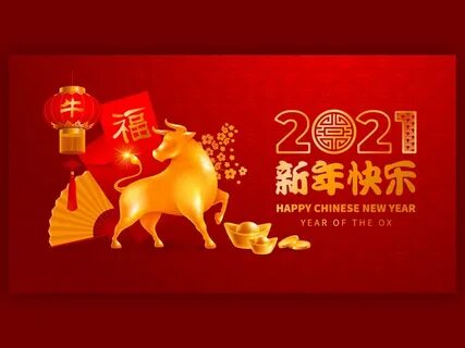 Cny mt