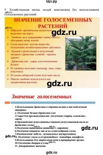 Параграф 41 6 класс