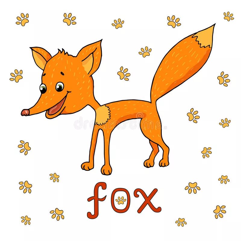 Fox word. Лиса по английскому. Fox карточка. Карточки по английскому языку лиса. Карточка лиса.