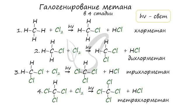 Механизм галогенирования алканов. Механизм реакции хлорирования алканов. Механизм реакции галогенирования. Замещение галогенирование алканов.