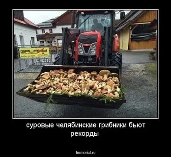Назвался груздем полезай в кузов жизненная ситуация