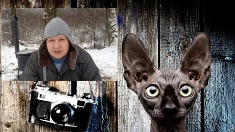 Костян ютуб последнее