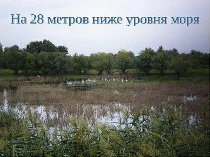 Высота прикаспийской низменности