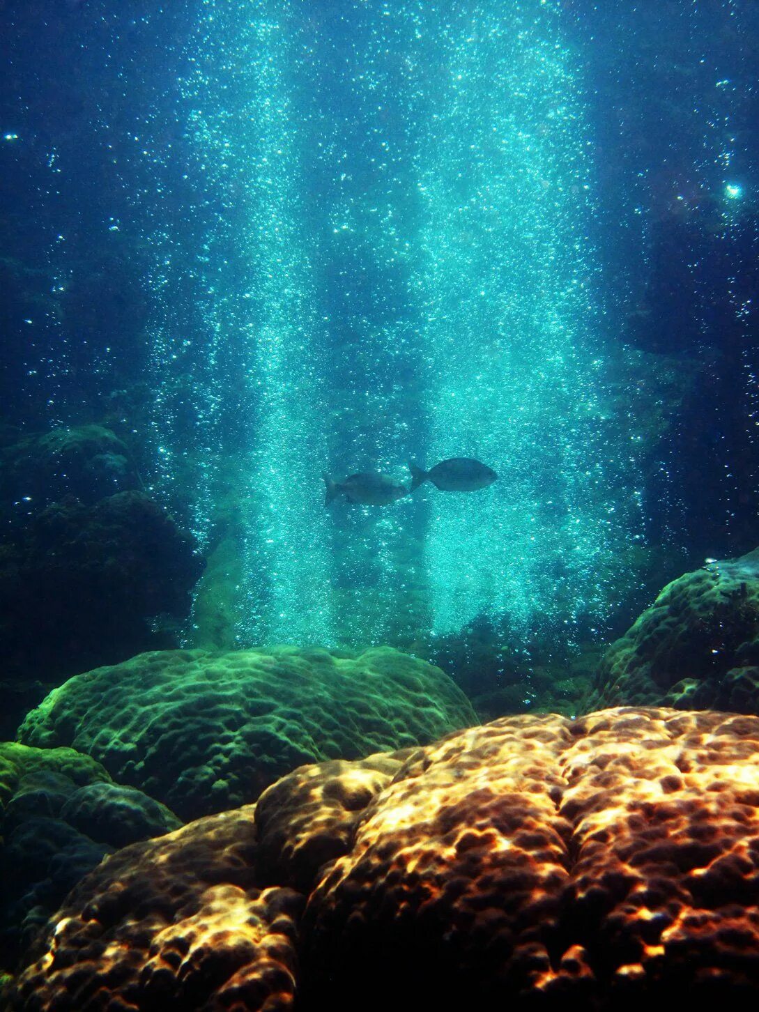 Кислород в водах океана