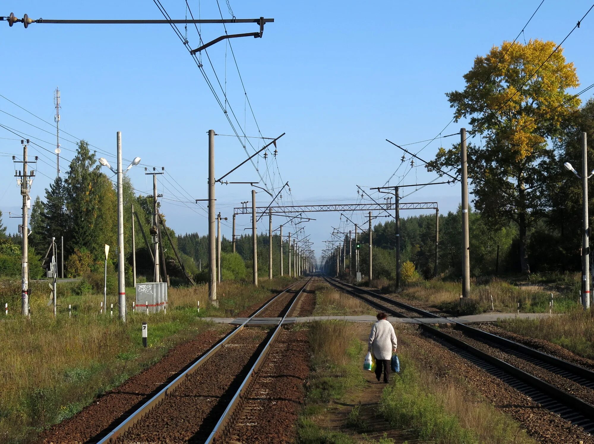 Погода в сусанино гатчинского района. Станция новинка Гатчинский район. Станция Сусанино Ленинградская область. Сусанино Гатчинский район вокзал. ЖД станция новинка Гатчинский район.