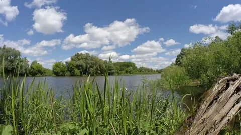 Погода сейм курская область