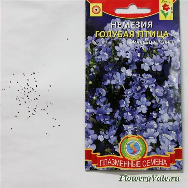 немезия семена фото. немезия зобовидная семена. немезия семена фото. немезия триумф смесь. немезия семена фото.