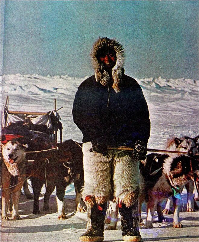 Шаманские мотивы. Существа из освоение севера. Рарники низина шолазар. Георгий седов. 5.